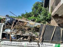 Shed Removal in Sigourney, IA